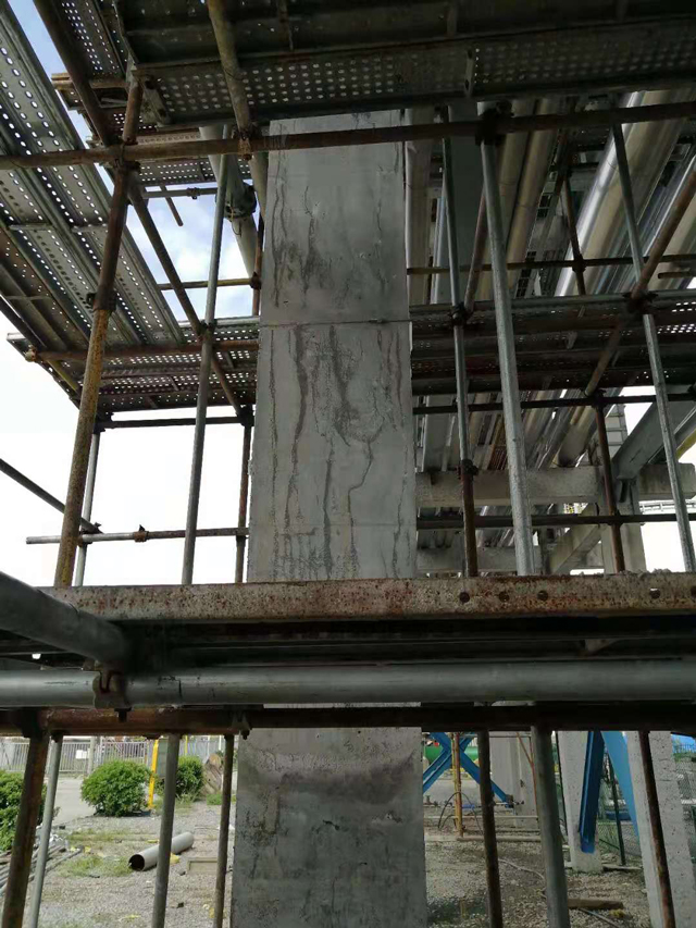 �����ש�������׵������£�