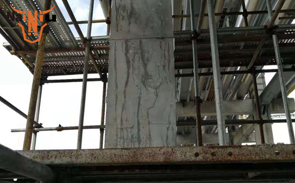 �Żݻ��������?�ཬ�ϳ��õĹཬҪ��